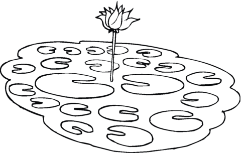 Lotus In A Pond Coloring Page